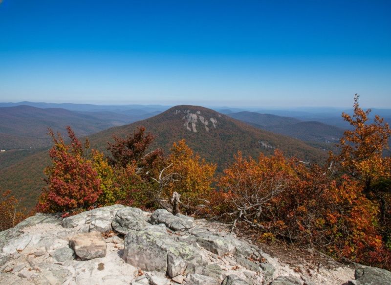 New Creek, WV