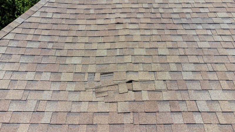 Asphalt Roof Inspection in Romney, WV