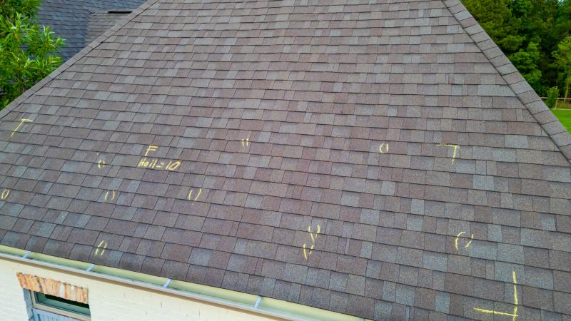 Asphalt Roof Inspection in Springfield, WV