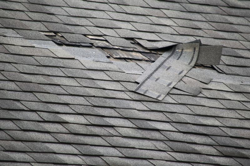 Asphalt Roof Leak Repair in Meyersdale, PA