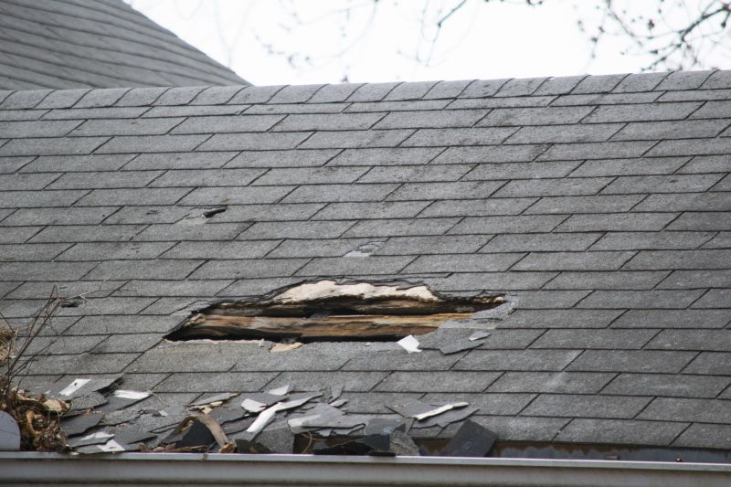Asphalt Roof Leak Repair in Paw Paw, WV