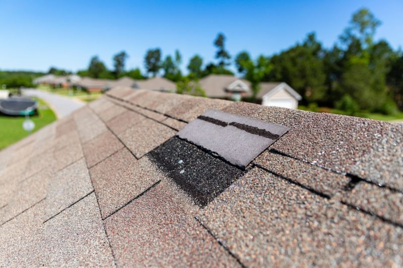 Asphalt Roof Leak Repair in Springfield, WV