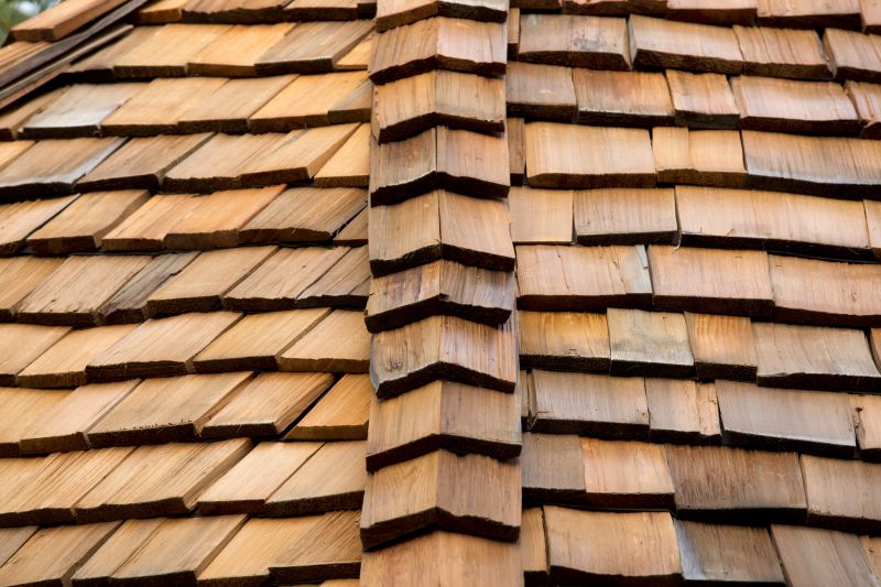 Cedar Shake Roof Construction in Romney, WV
