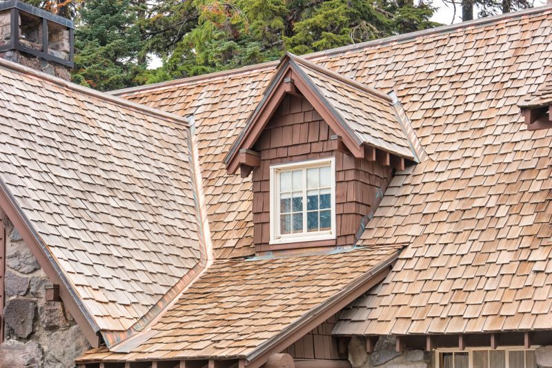 Cedar Shake Roof Repair in Paw Paw, WV