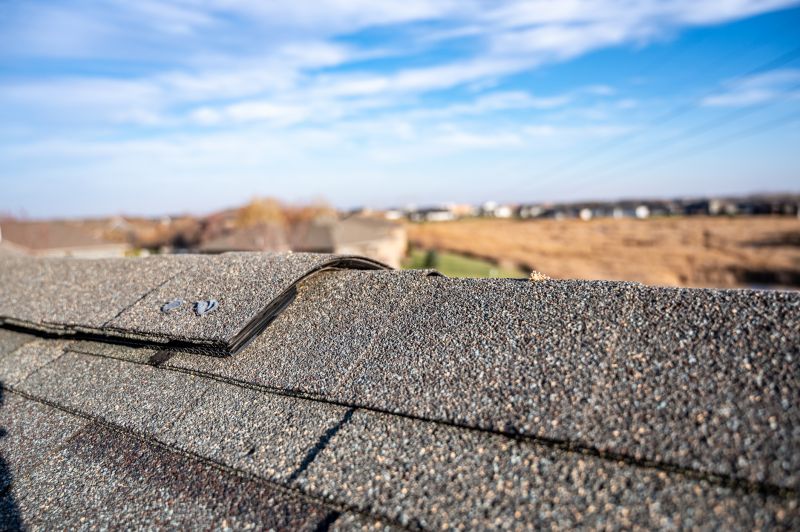 Damaged Roof Repair in Paw Paw, WV