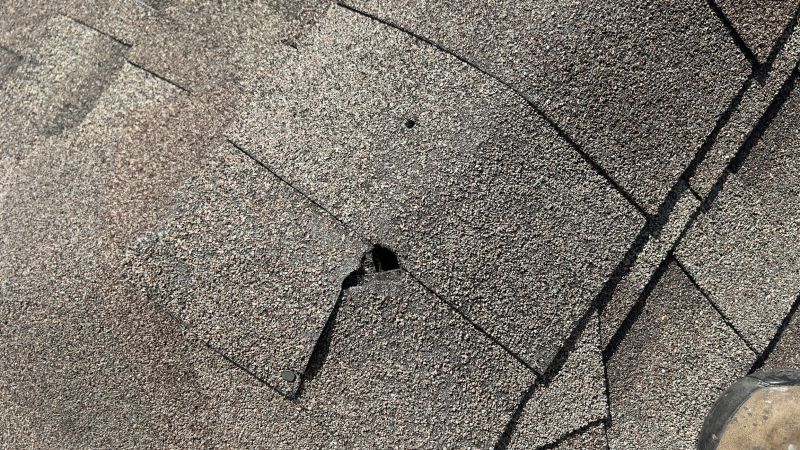 Damaged Roof Repair in Swanton, MD