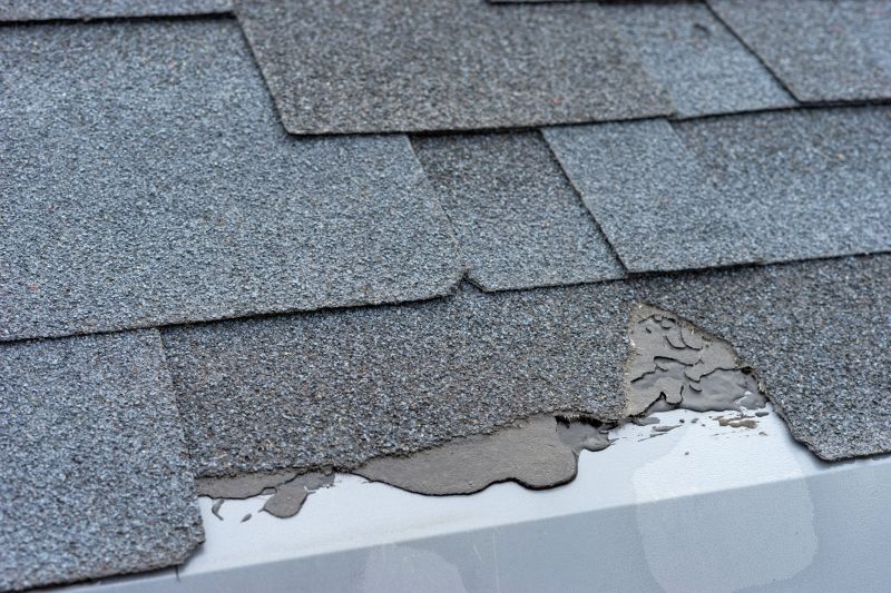Damaged Roof Repair in Swanton, MD
