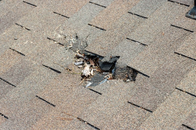 Damaged Roof Replacement in Paw Paw, WV