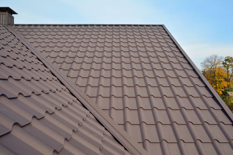 Metal Roof Installation in Springfield, WV