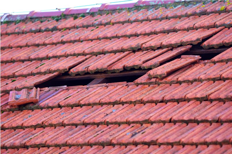 Roof Damage Inspection in Hampshire County, WV