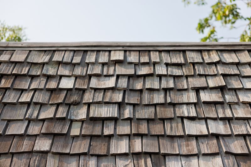 Shake Shingle Repair in Romney, WV