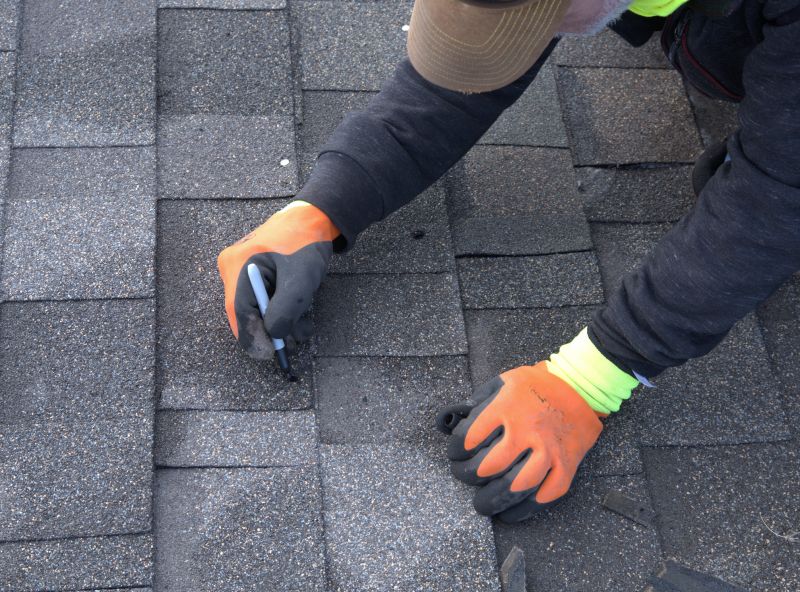 Shingles Repair in Romney, WV