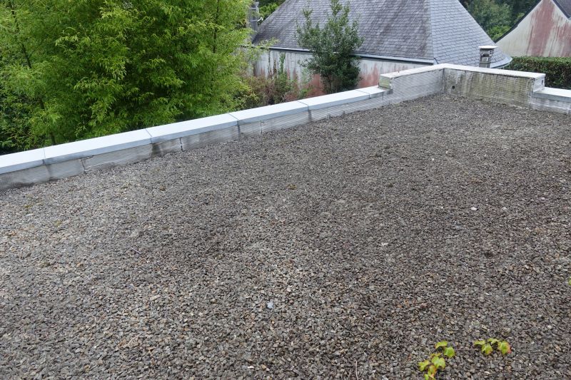 Tar And Gravel Roof Repair in Paw Paw, WV